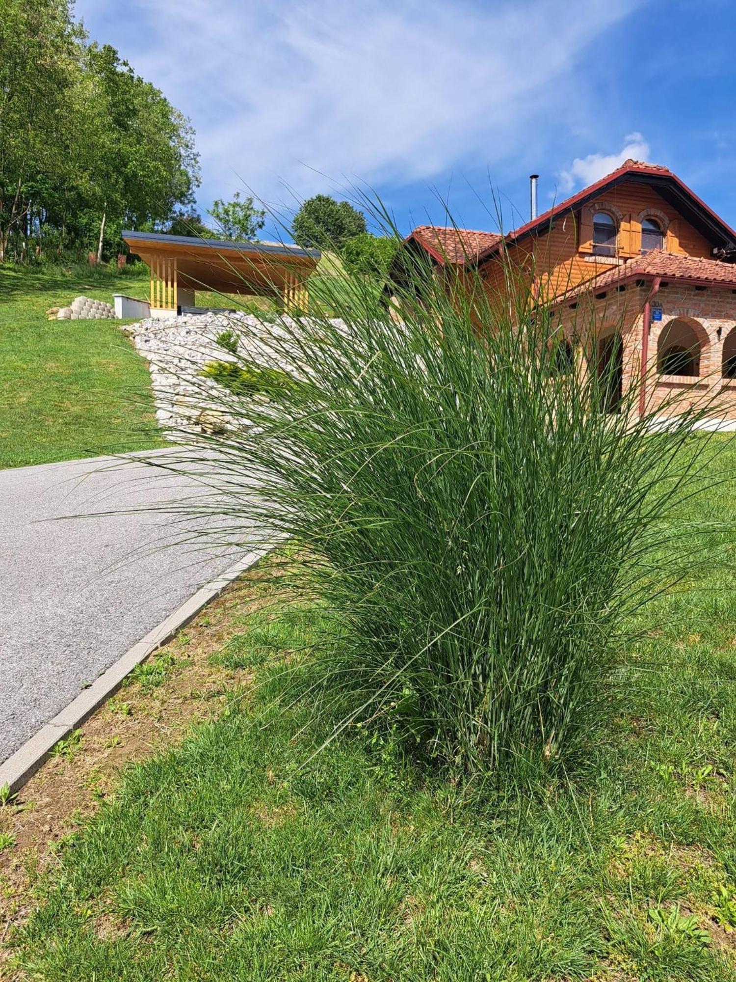 Villa Magnolia Sveti Martin Na Muri Exterior photo