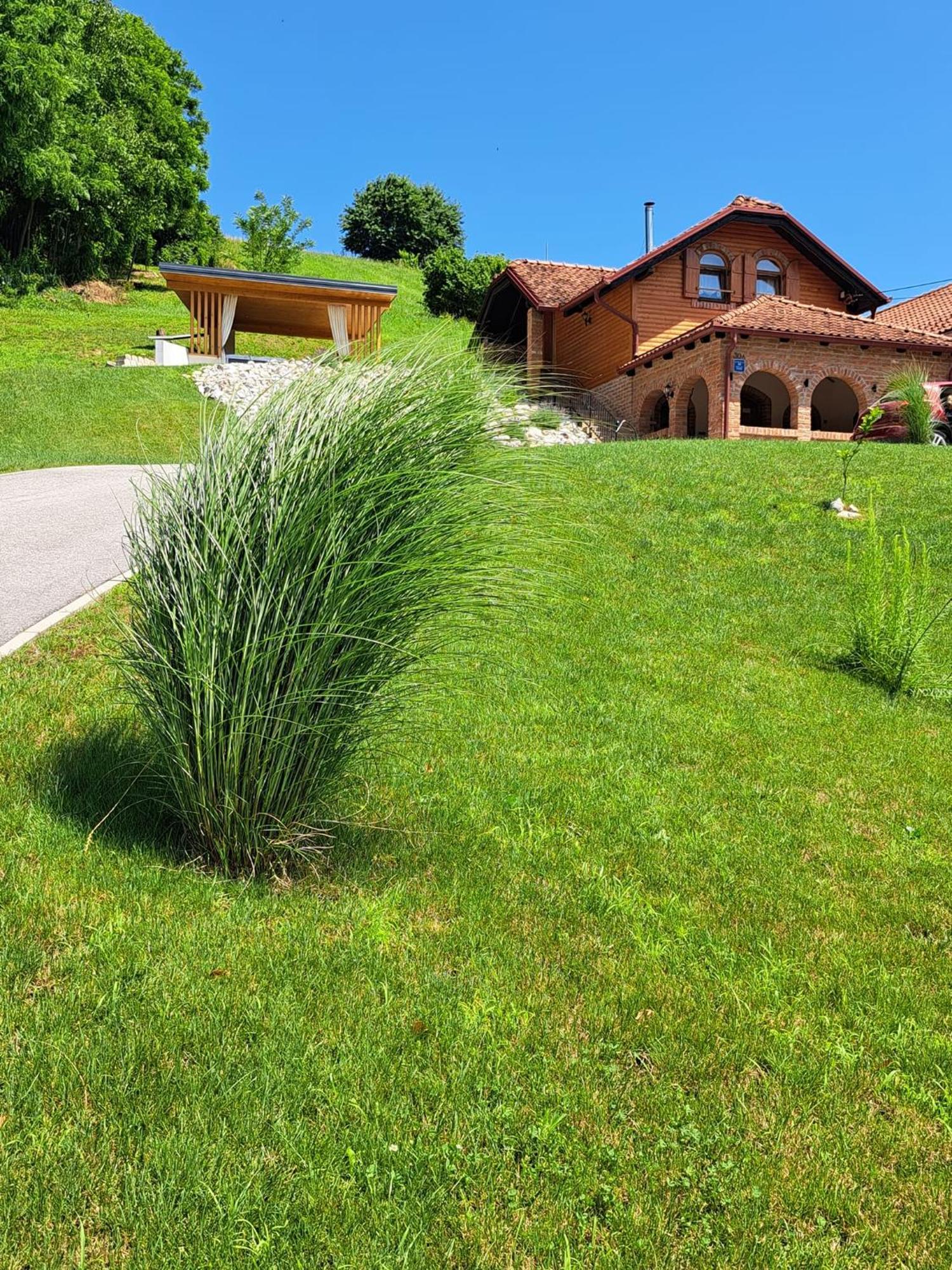 Villa Magnolia Sveti Martin Na Muri Exterior photo